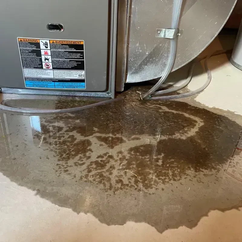 Appliance Leak Cleanup in Lake View, IA